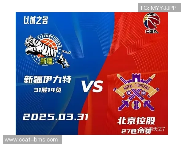 2007年CBA总决赛第五场精彩对决广东队与辽宁队的巅峰之战回顾